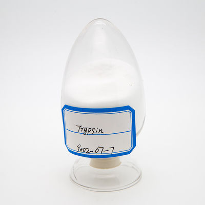 USP Trypsin And Chymotrypsin Enzymes , ISO9001 9002-07-7 Trypsin From Porcine Pancreas