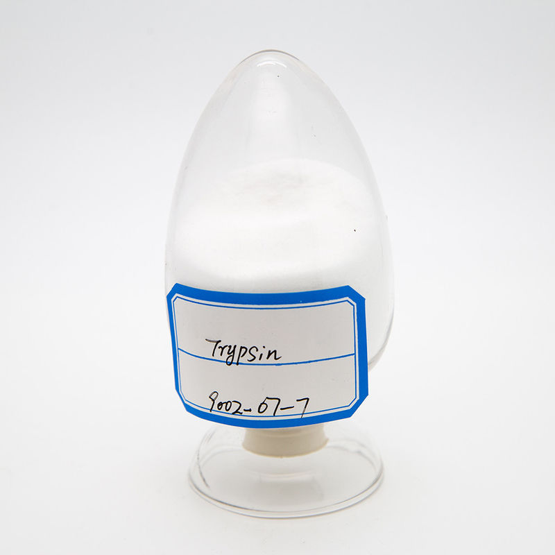 USP Trypsin And Chymotrypsin Enzymes , ISO9001 9002-07-7 Trypsin From Porcine Pancreas